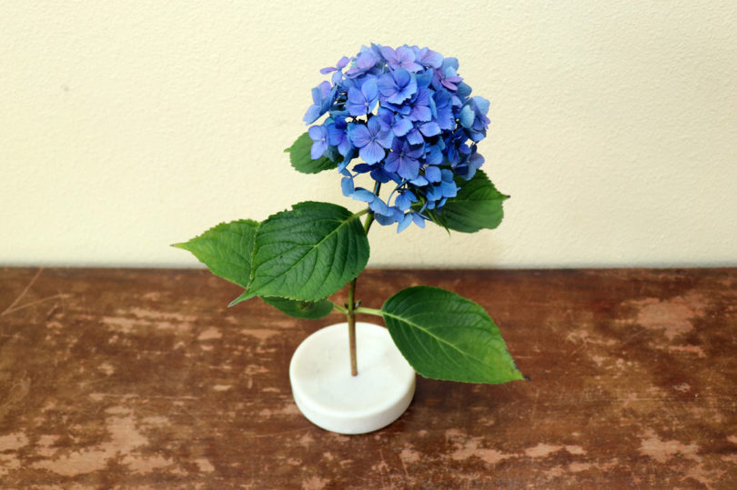 industrial design，vase，Solo vase，Single stem vase，