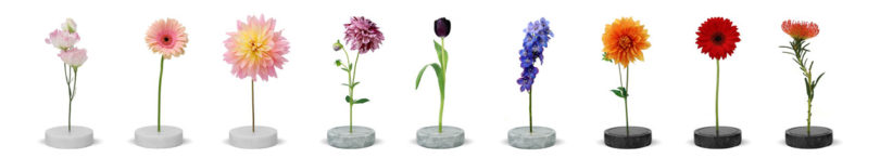 industrial design，vase，Solo vase，Single stem vase，