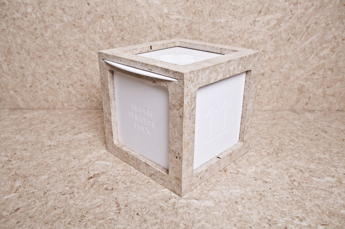 children，education，Puzzle，plant，