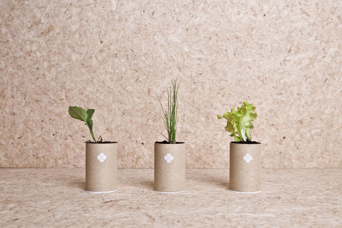 children，education，Puzzle，plant，