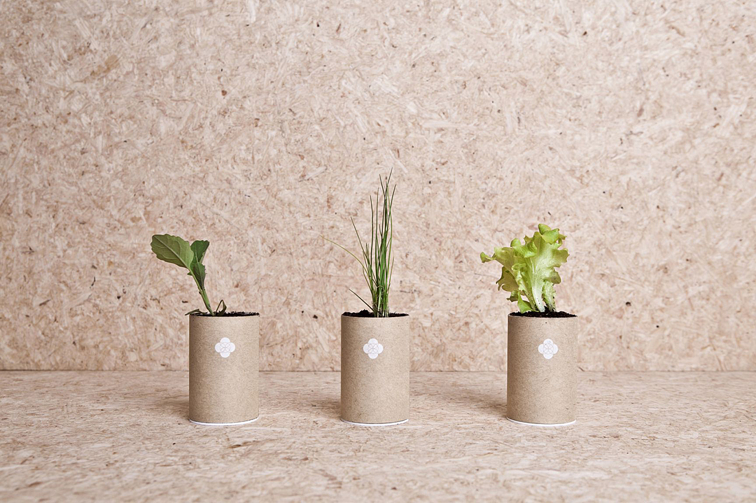 children，education，Puzzle，plant，