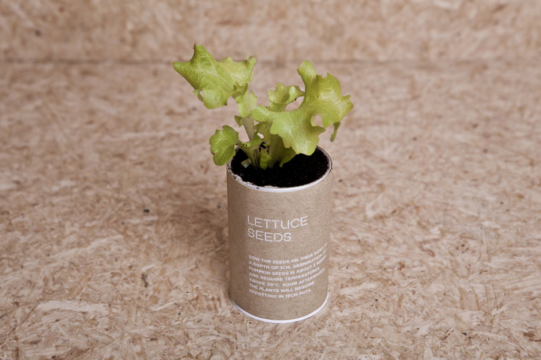 children，education，Puzzle，plant，