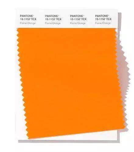 colour，dried food，Soft home，poster，sensory organs，