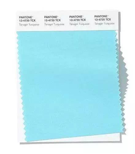 colour，dried food，Soft home，poster，sensory organs，