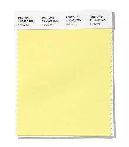 colour，dried food，Soft home，poster，sensory organs，