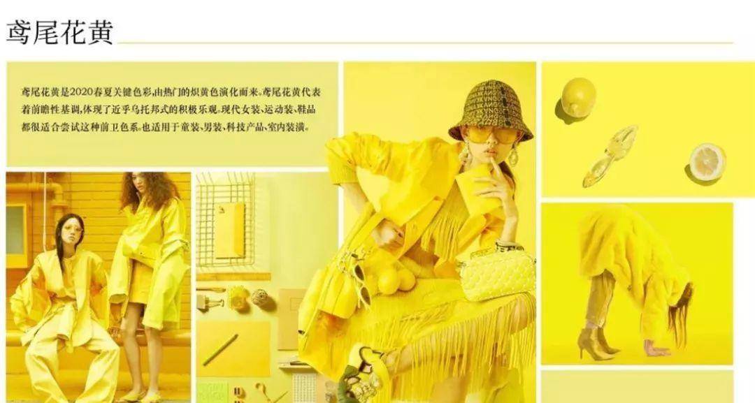 colour，dried food，Soft home，poster，sensory organs，