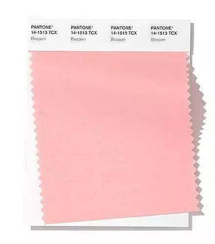 colour，dried food，Soft home，poster，sensory organs，