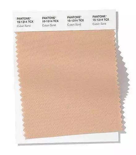 colour，dried food，Soft home，poster，sensory organs，