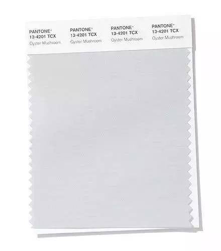 colour，dried food，Soft home，poster，sensory organs，