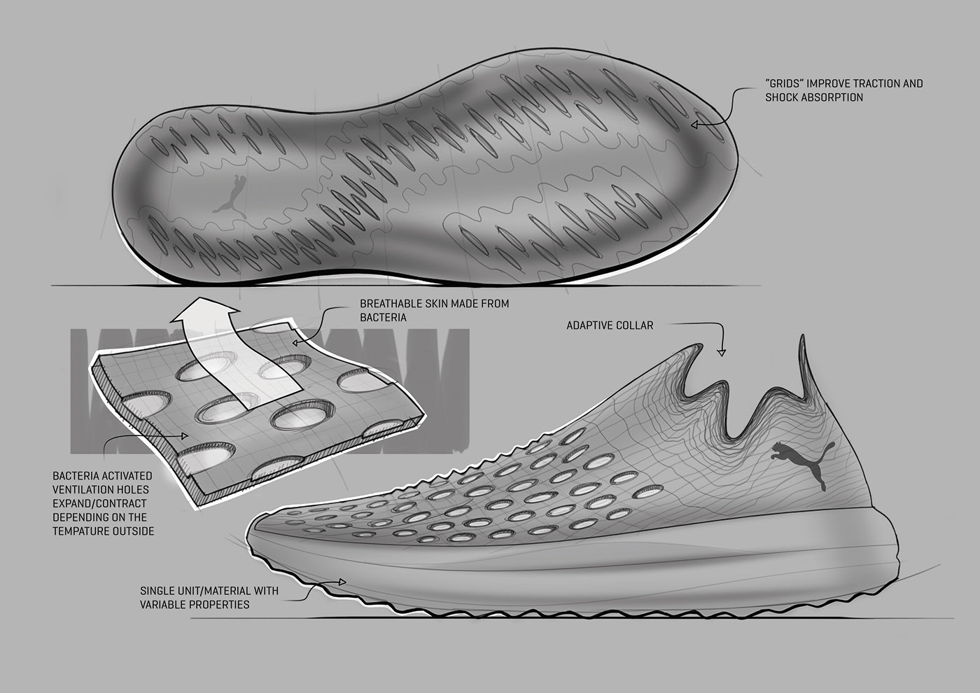 Sketch，Picture book，Running shoes，