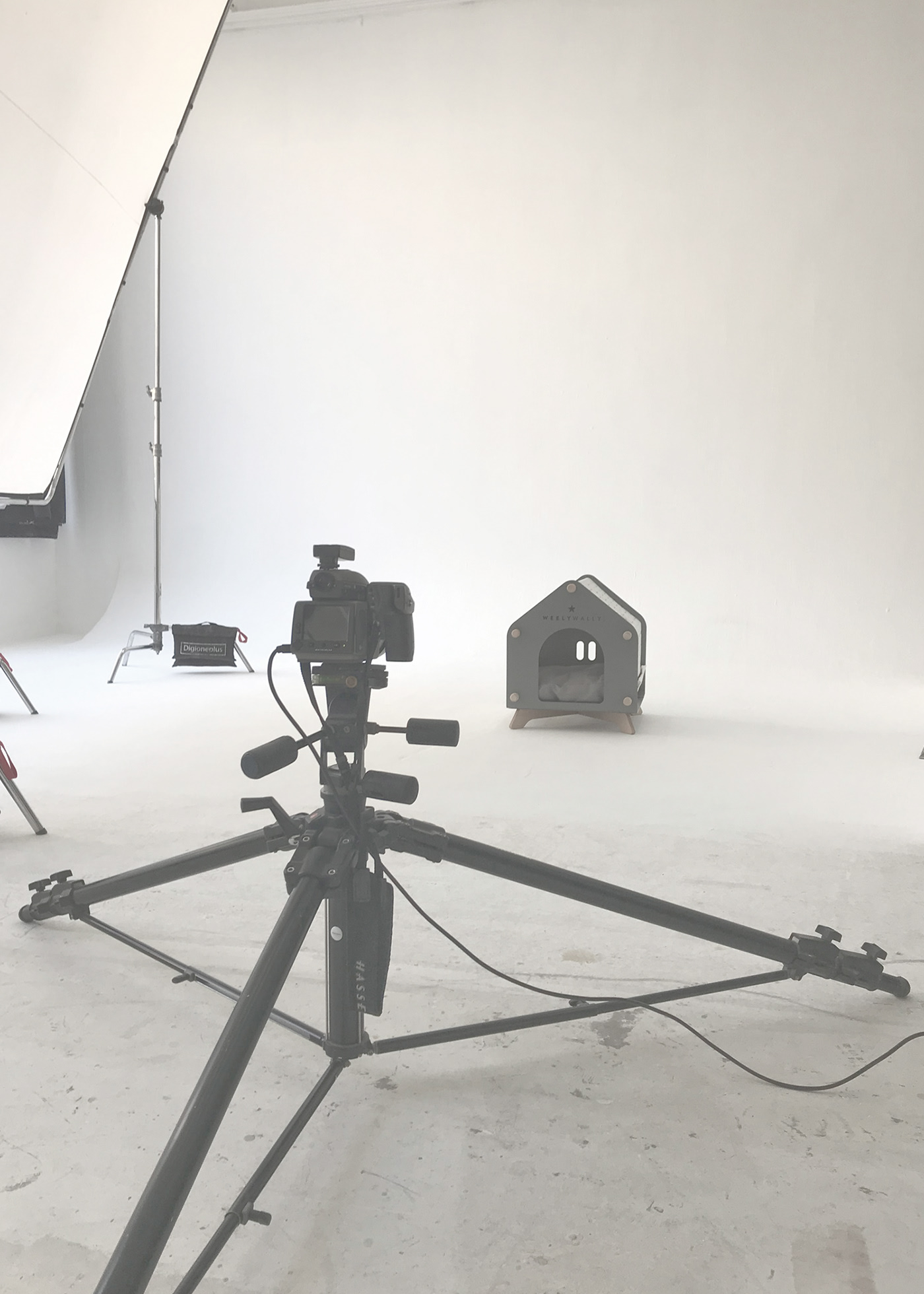 industrial design，Pet house，Pet nest，Willie，WELYWALLY.，