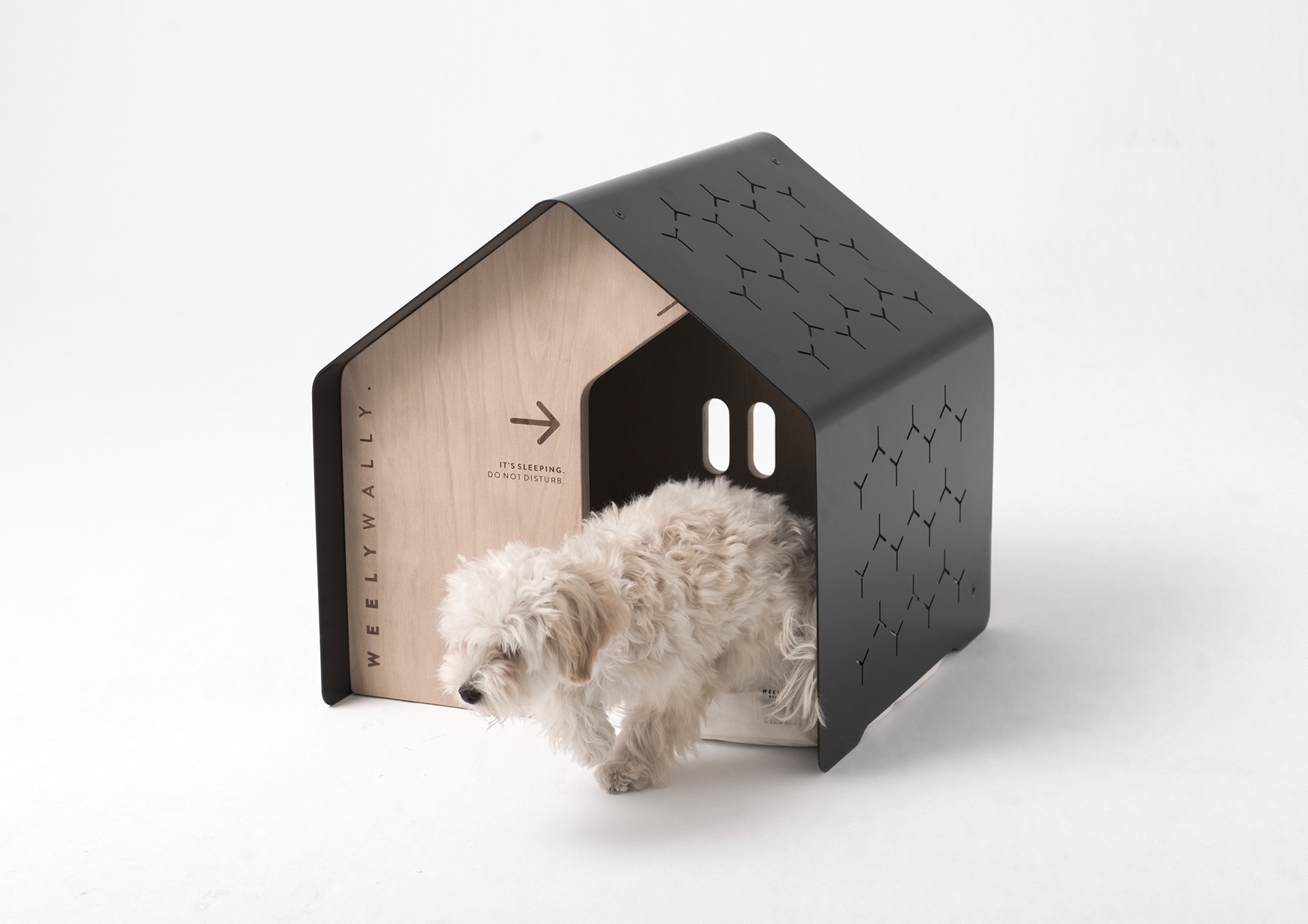 industrial design，Pet house，Pet nest，Willie，WELYWALLY.，