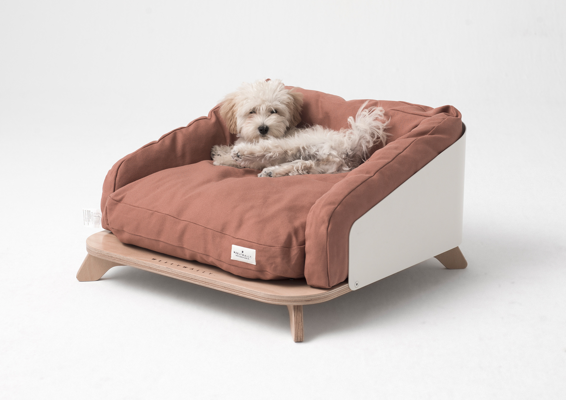 industrial design，Pet house，Pet nest，Willie，WELYWALLY.，