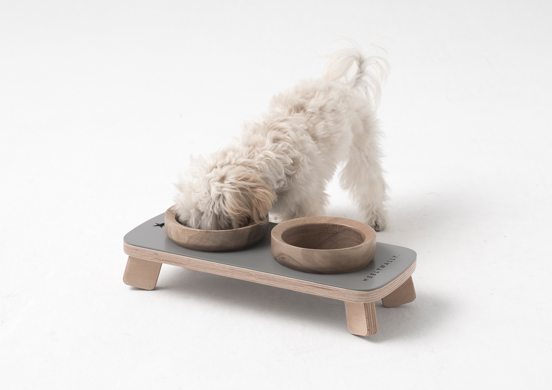 industrial design，Pet house，Pet nest，Willie，WELYWALLY.，