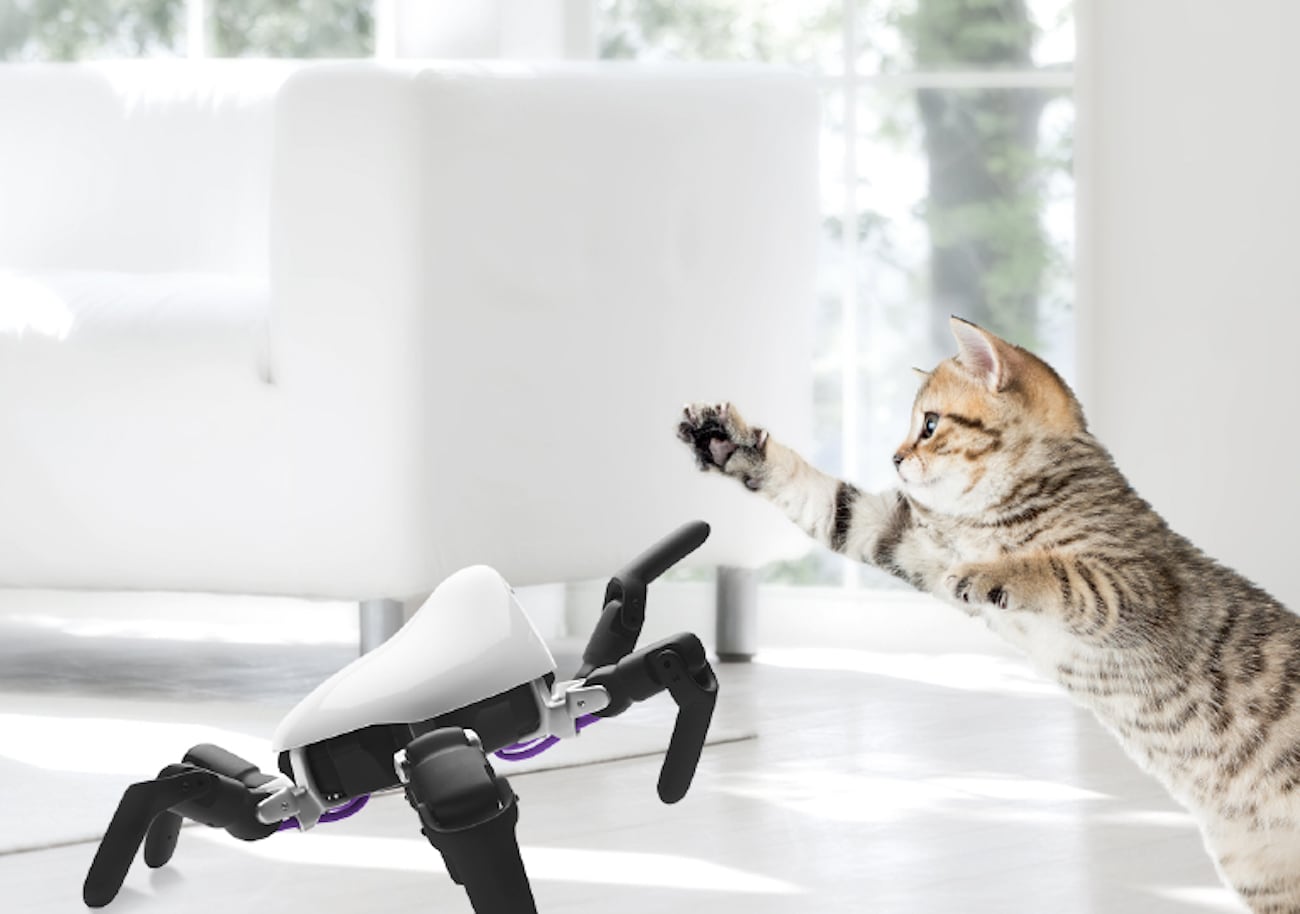 sensor，robot，Programmable，