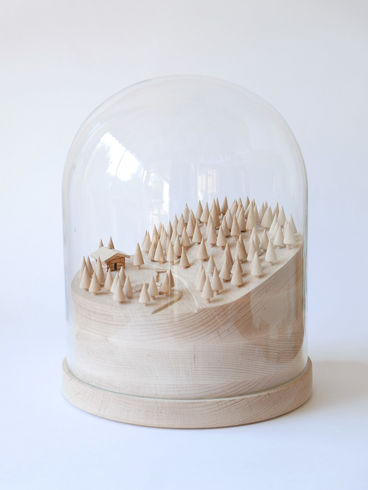 woodiness，Micro landscape，mini landscapes，