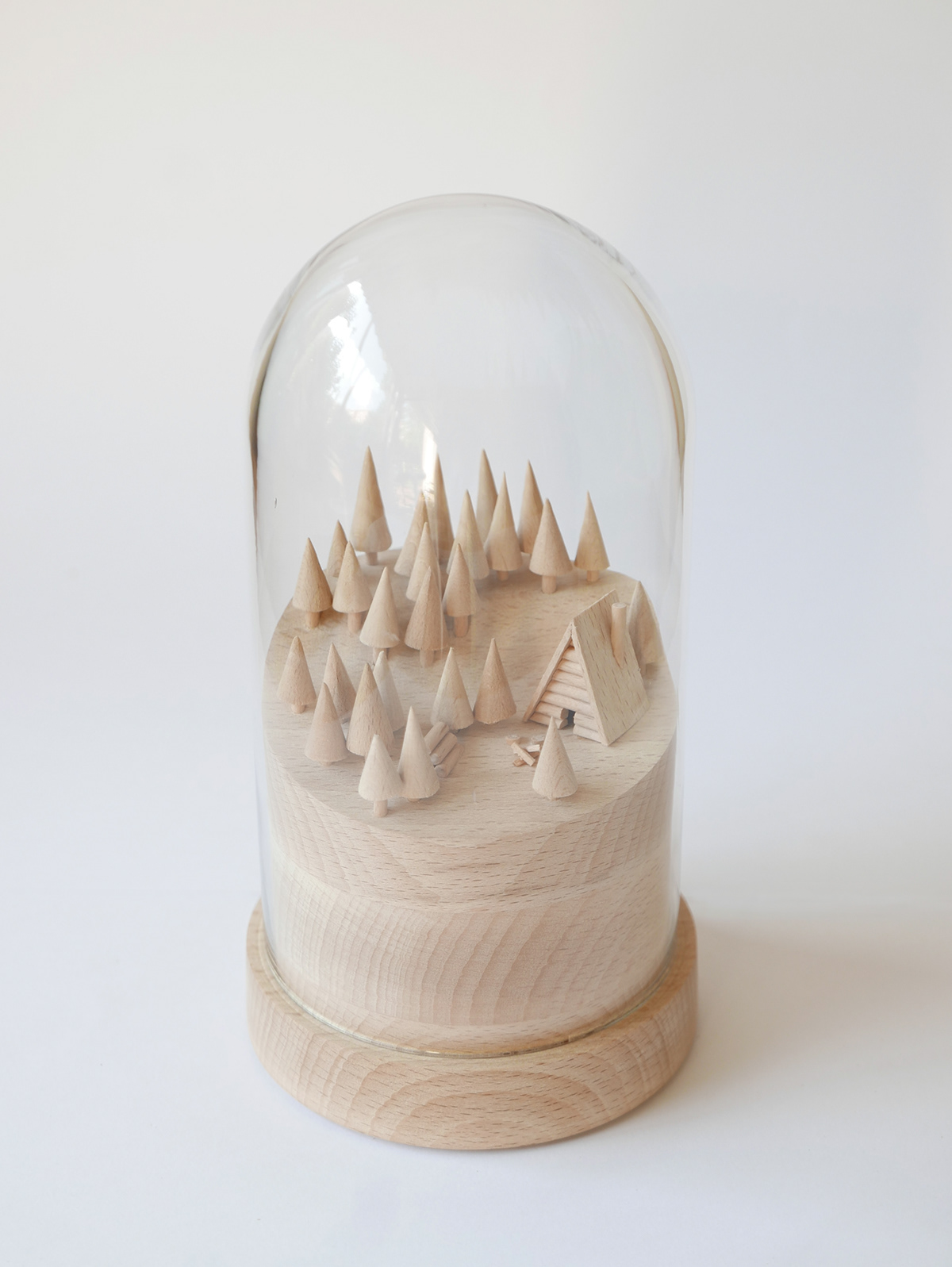 woodiness，Micro landscape，mini landscapes，