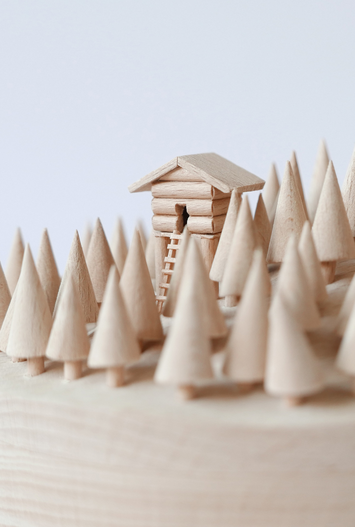 woodiness，Micro landscape，mini landscapes，