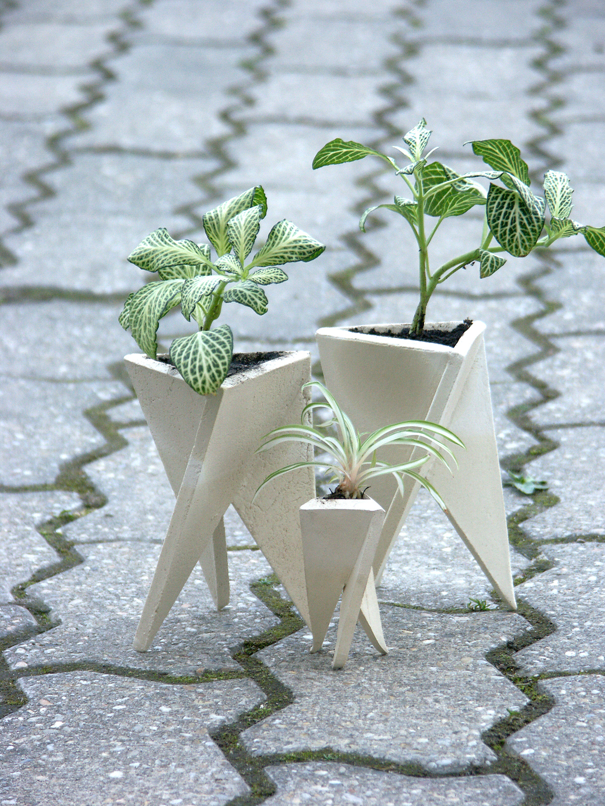 Flowerpot，Simplicity，originality，concrete，decorate，