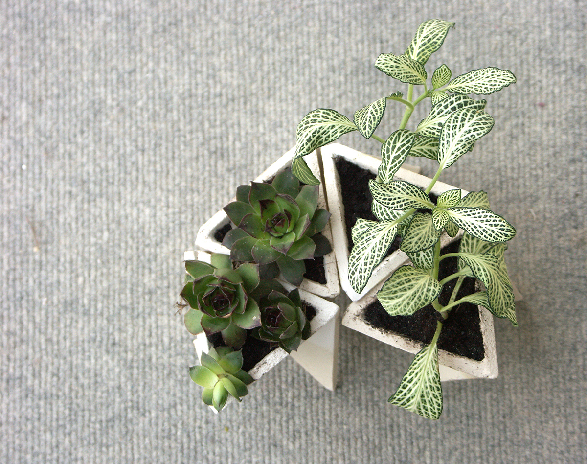 Flowerpot，Simplicity，originality，concrete，decorate，