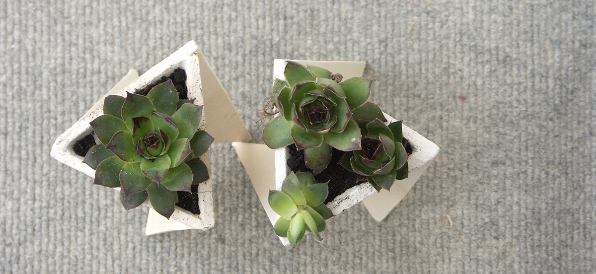 Flowerpot，Simplicity，originality，concrete，decorate，