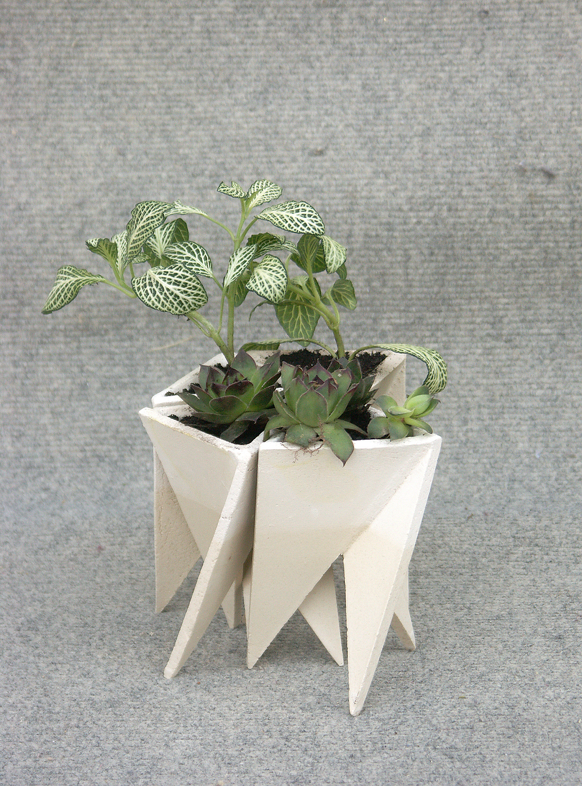 Flowerpot，Simplicity，originality，concrete，decorate，