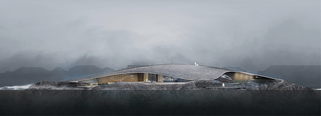 whale，Architecture，The Whale，whale watching，
