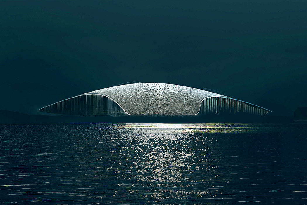 whale，Architecture，The Whale，whale watching，