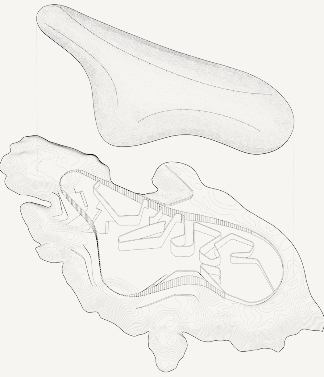 whale，Architecture，The Whale，whale watching，