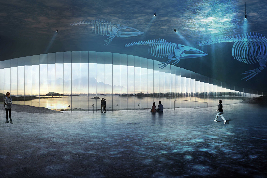 whale，Architecture，The Whale，whale watching，
