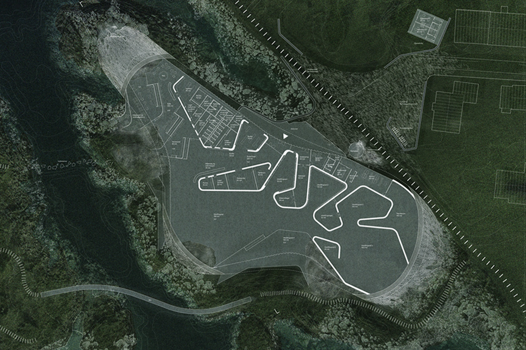 whale，Architecture，The Whale，whale watching，