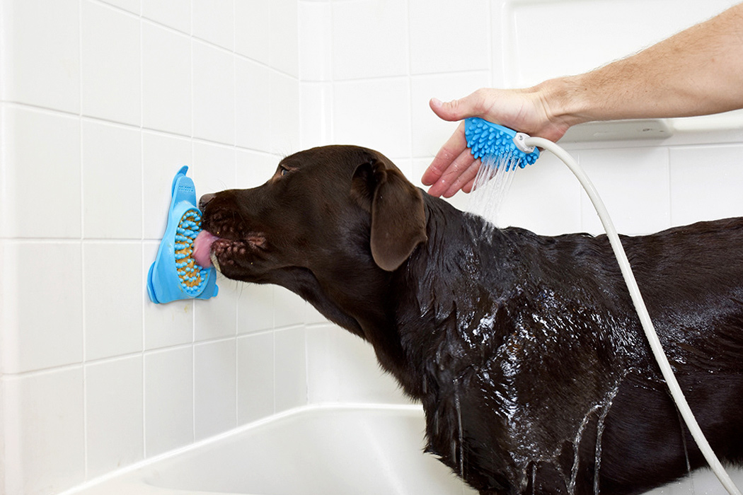 Pet products，Aquapaw，Slow feeder，