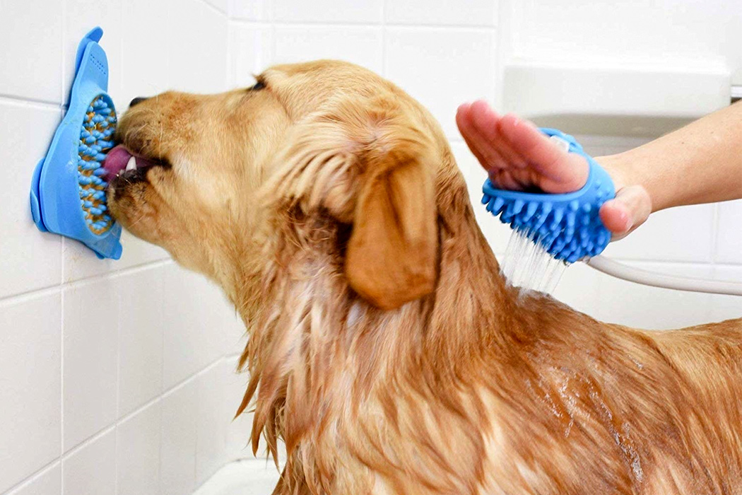 Pet products，Aquapaw，Slow feeder，