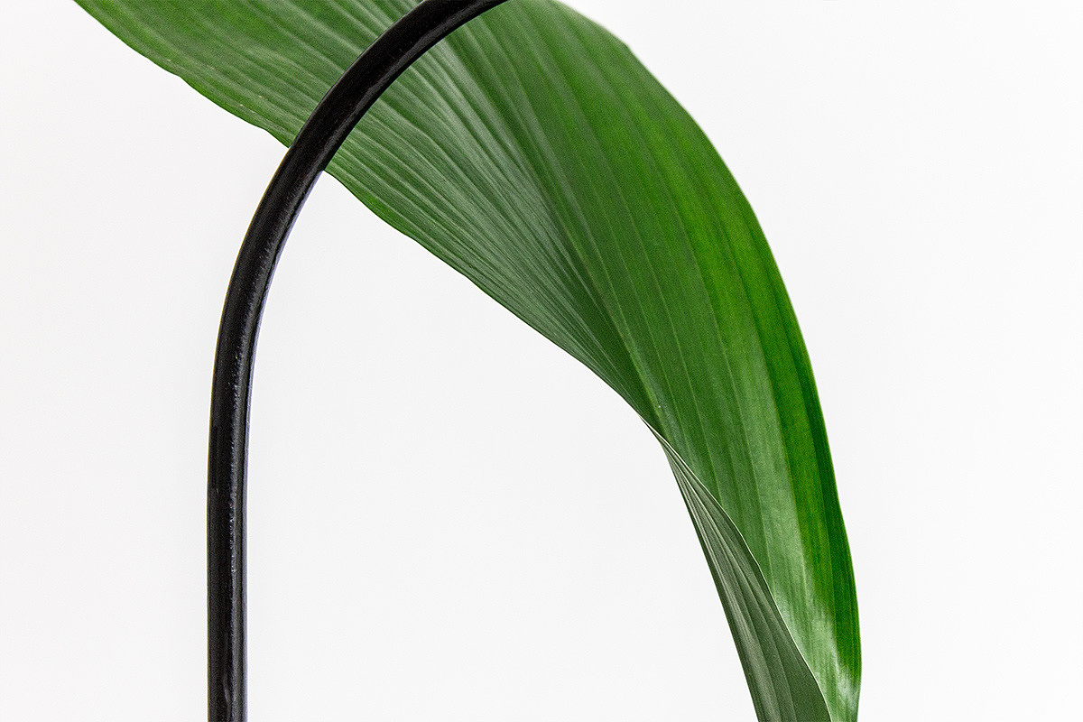 industrial design，vase，Simplicity，generous，beautiful，