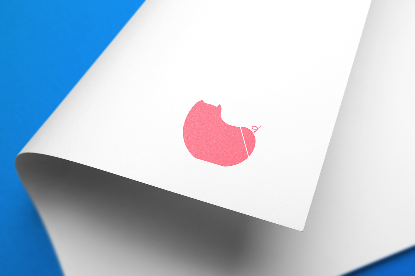 Piggy Bank，Hello，card reader，SD card，