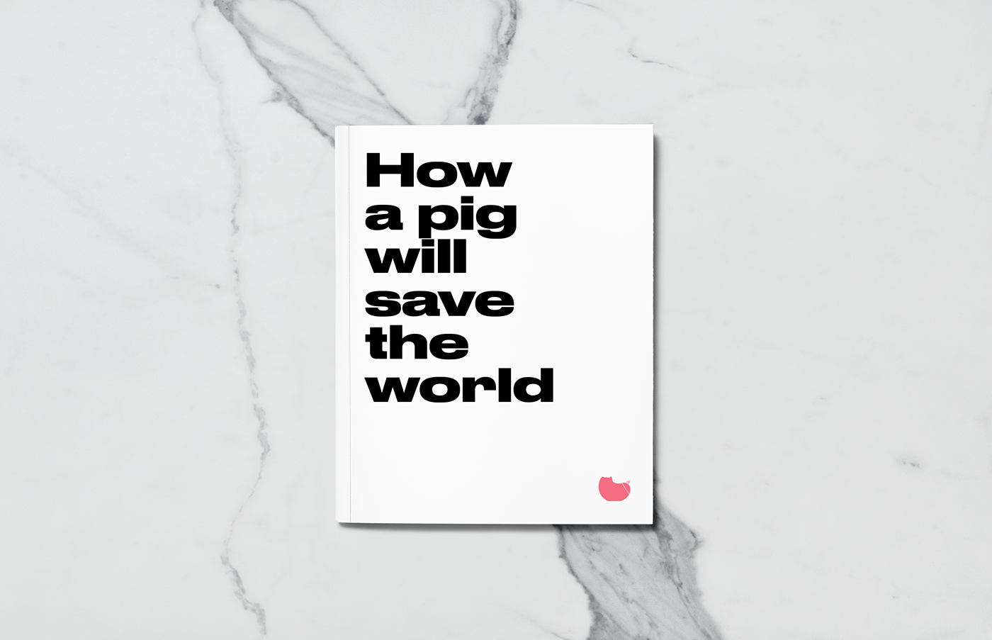 Piggy Bank，Hello，card reader，SD card，