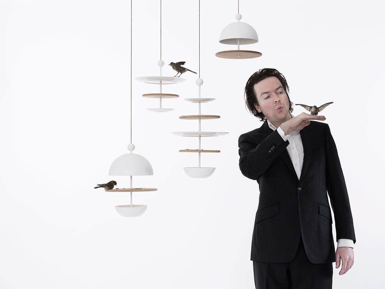assemble，birds，Feed Basin，