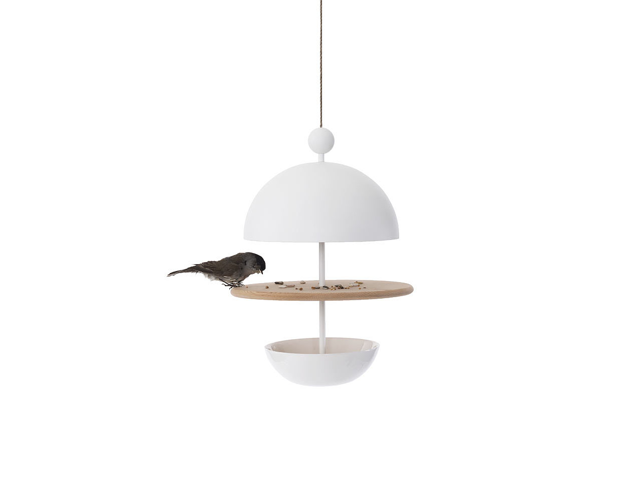 assemble，birds，Feed Basin，