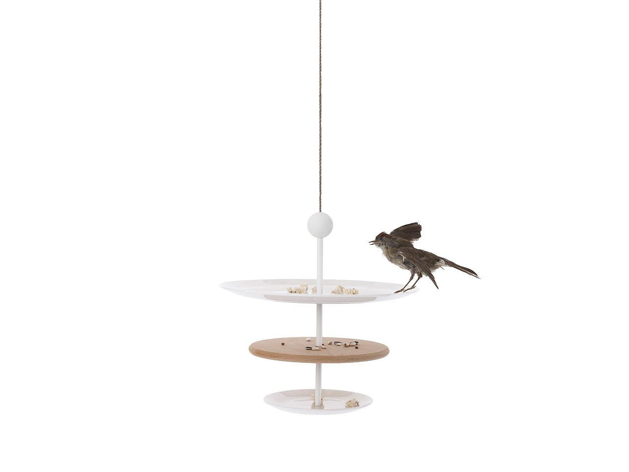 assemble，birds，Feed Basin，