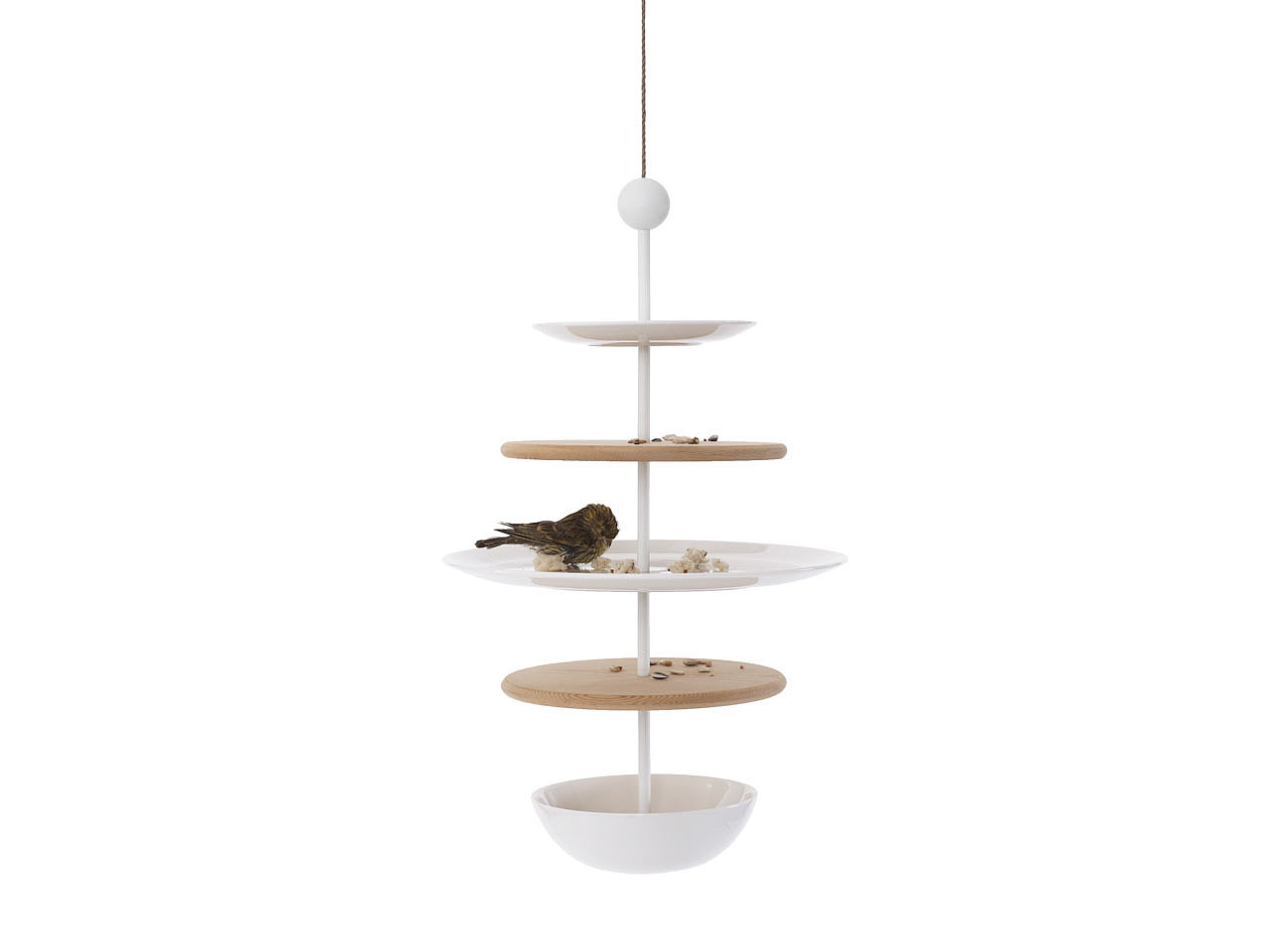 assemble，birds，Feed Basin，