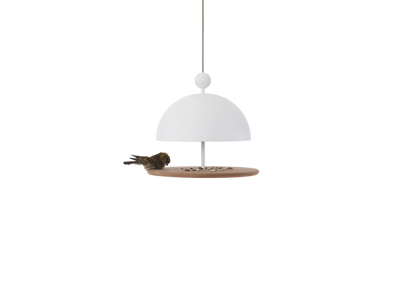 assemble，birds，Feed Basin，