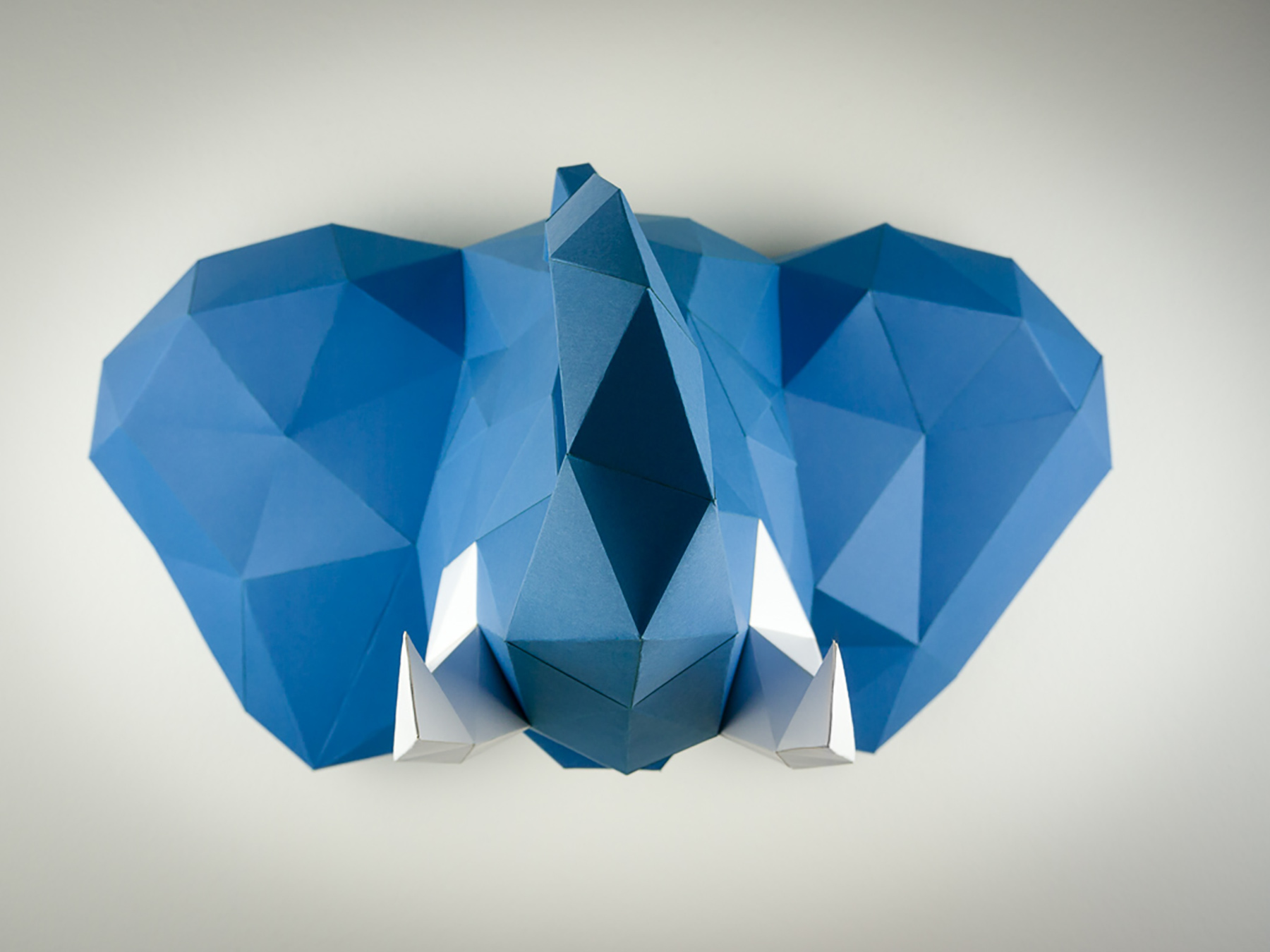 animal，Environmental protection paper，Polygon total，gift，Exhibition，