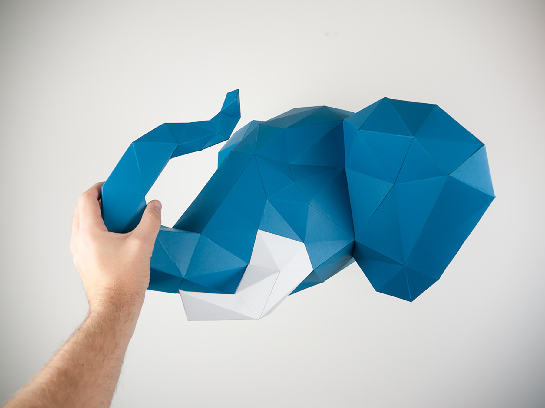 animal，Environmental protection paper，Polygon total，gift，Exhibition，