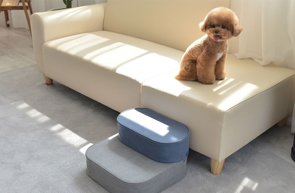 Pets，COCOTEP，HOONICO，fall，