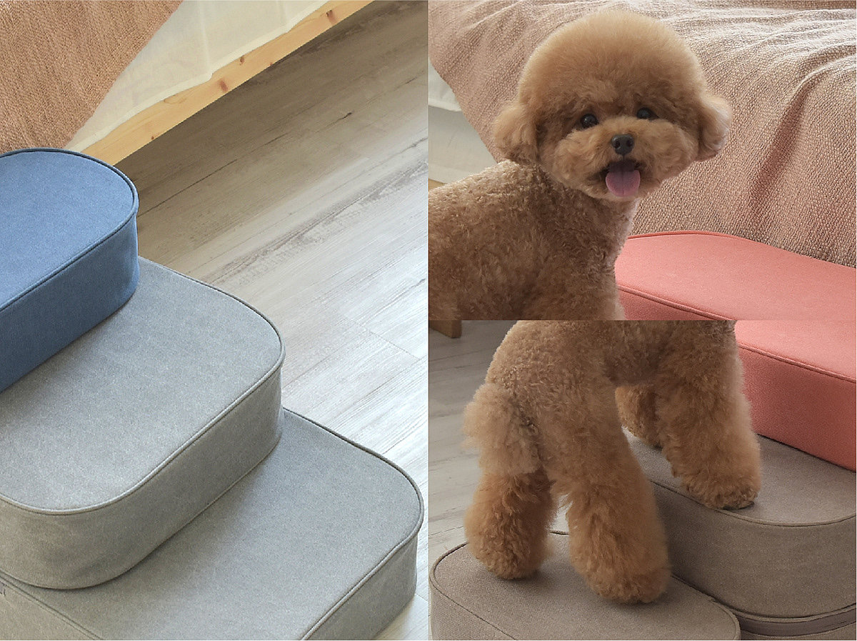 Pets，COCOTEP，HOONICO，fall，