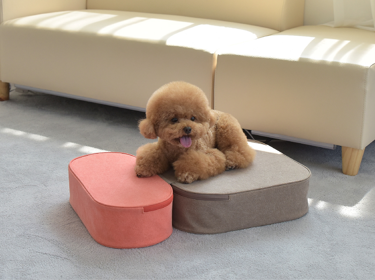 Pets，COCOTEP，HOONICO，fall，