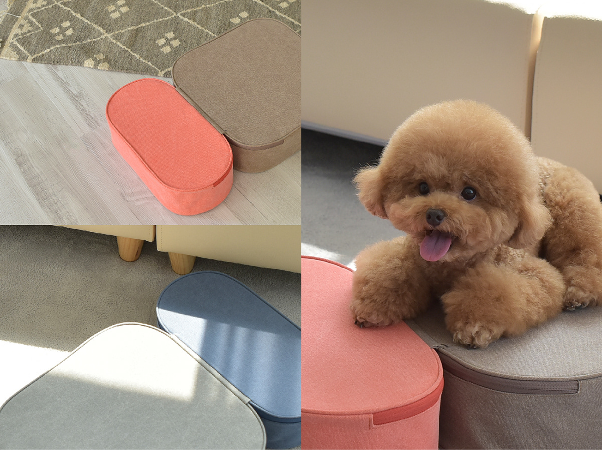 Pets，COCOTEP，HOONICO，fall，