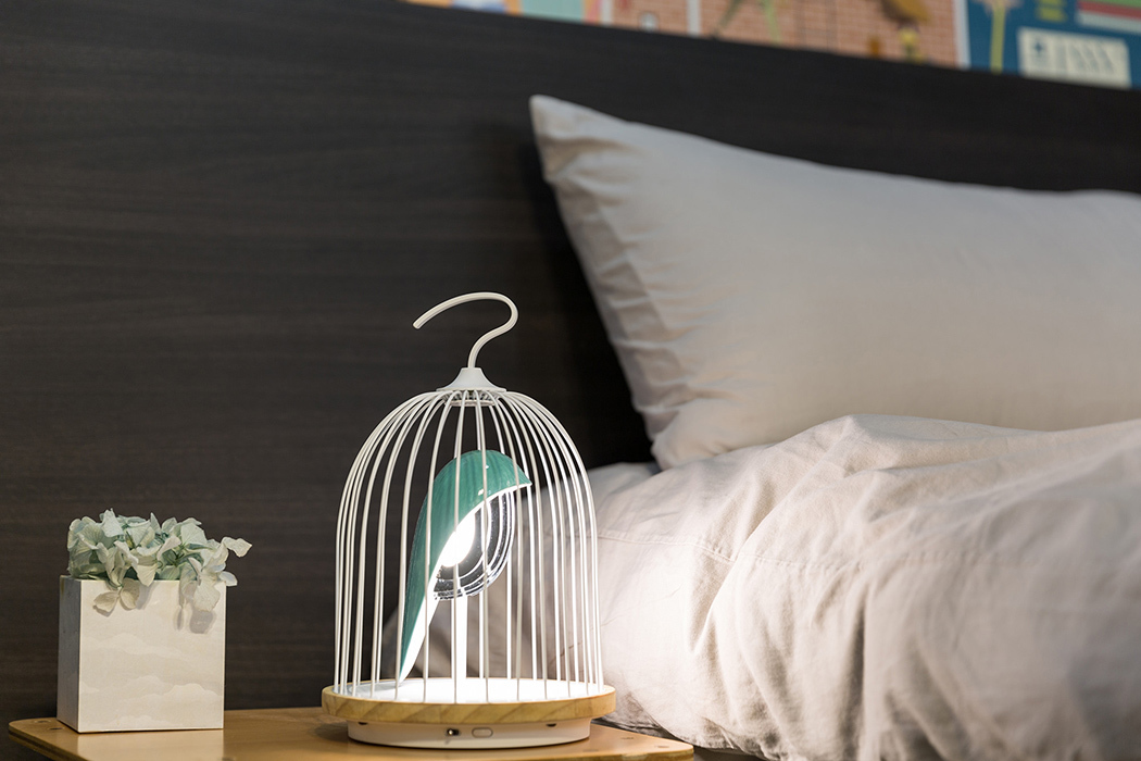 Birdcage lamp，Provide lighting，Bluetooth speaker usage，Lovely and unique，