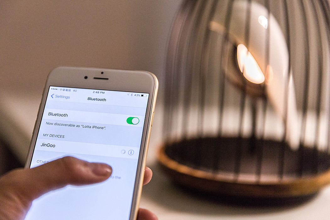 Birdcage lamp，Provide lighting，Bluetooth speaker usage，Lovely and unique，