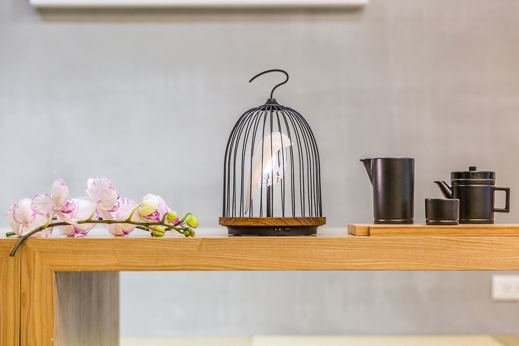Birdcage lamp，Provide lighting，Bluetooth speaker usage，Lovely and unique，
